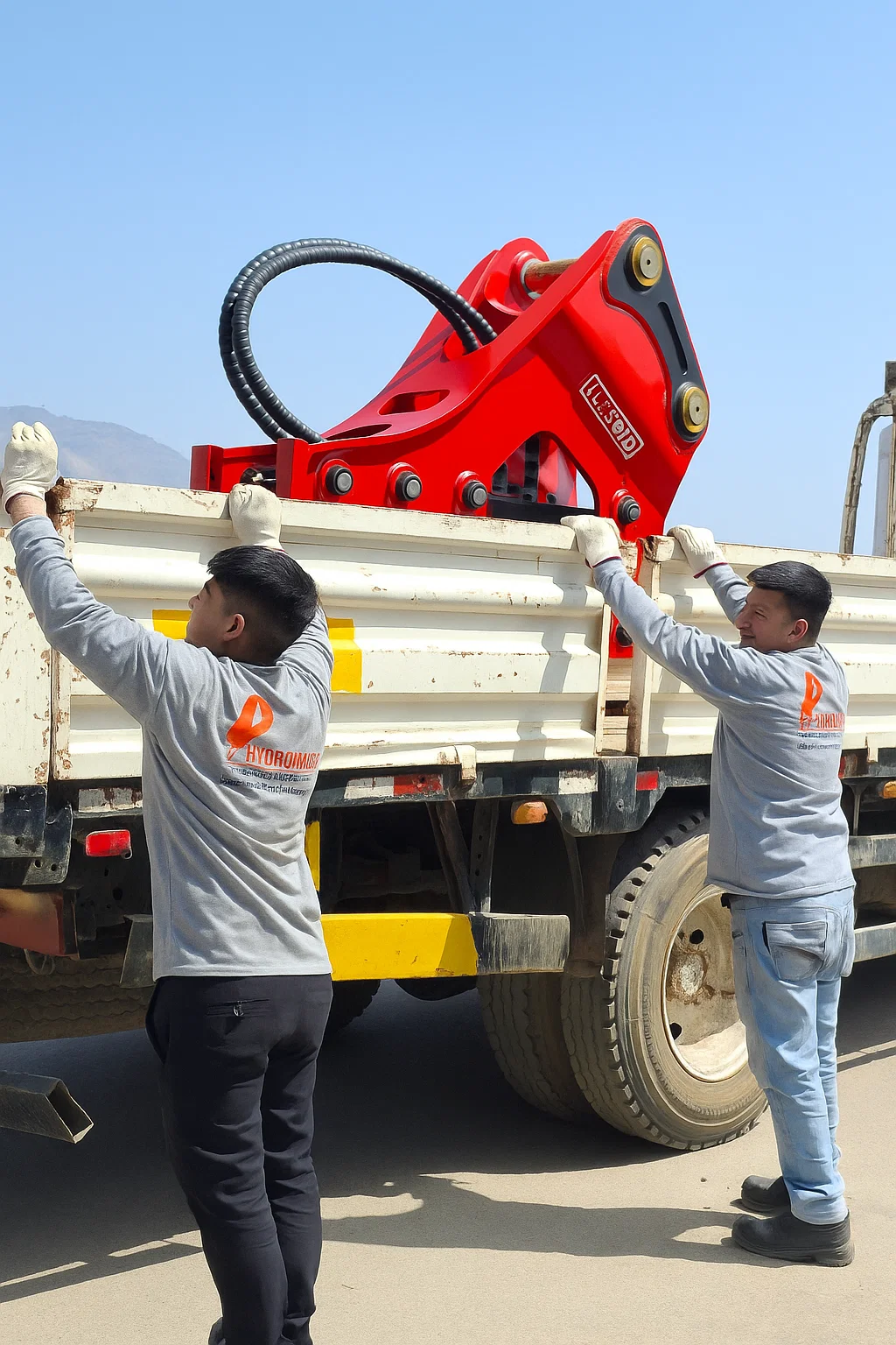 Nuestro equipo de trabajo en acción